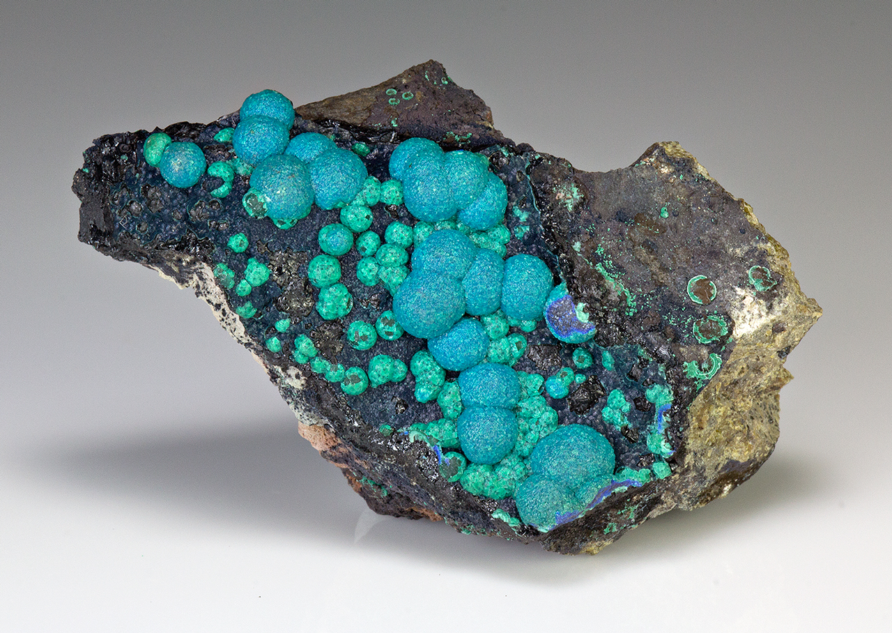 Chrysocolla With Azurite Minerals For Sale 1257893