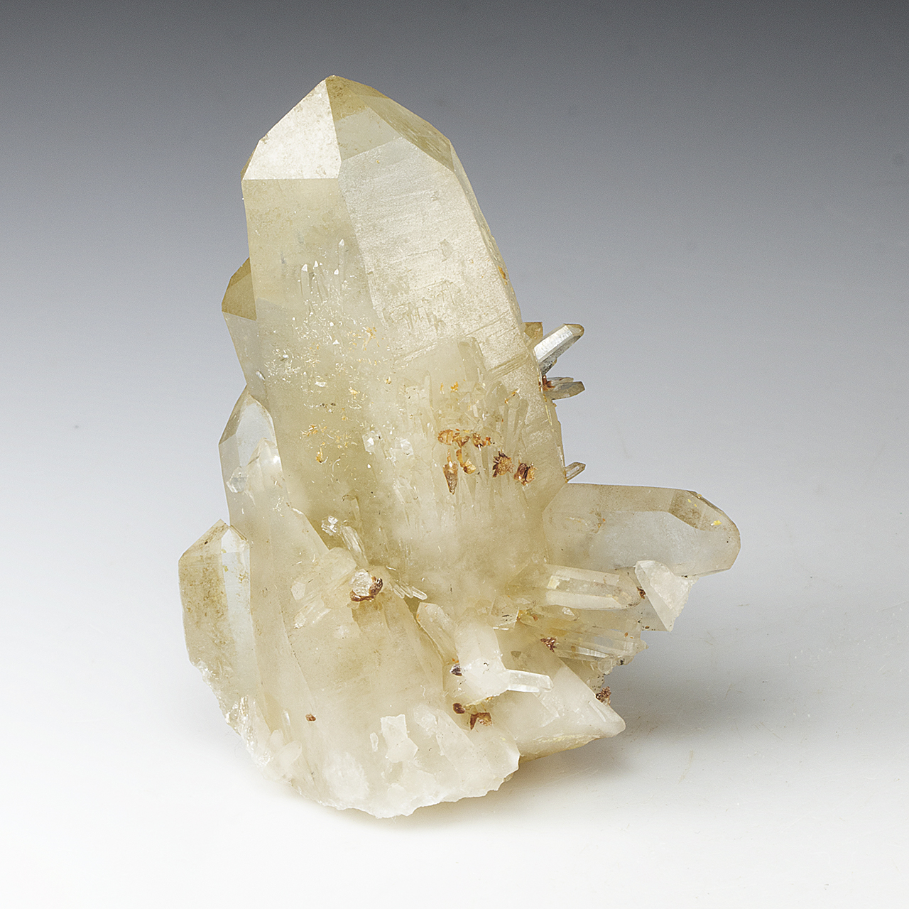 Quartz-(Japan-law-twin) with Mimetite - Minerals For Sale - #3631029