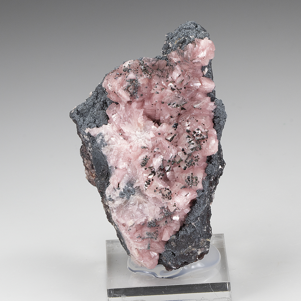 Pink Crystals Rhodochrosite with Particles of Pyrite. Natural Texture of  Mineral for Background Stock Image - Image of crystal, nugget: 131529665