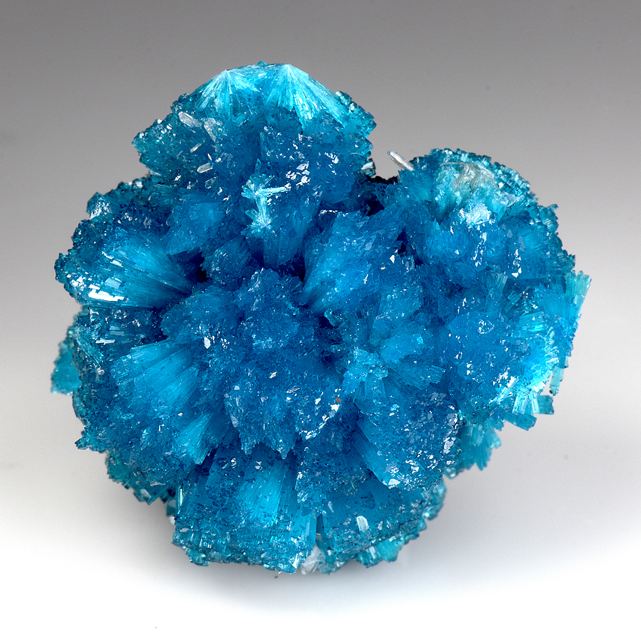 Cavansite - Minerals For Sale - #4162005