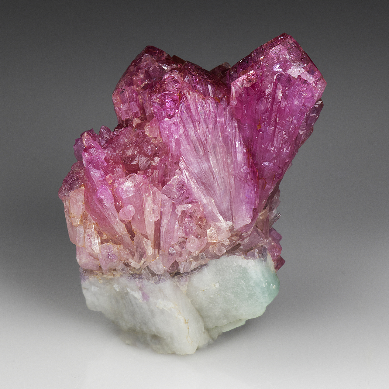Elbaite - Minerals For Sale - #4272849