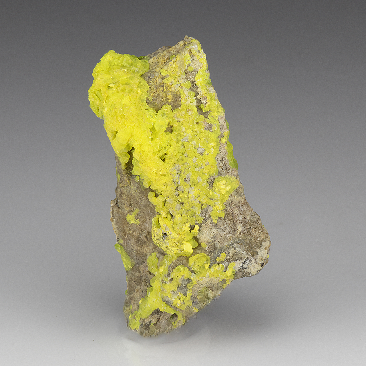 Liebigite - Minerals For Sale - #8604141