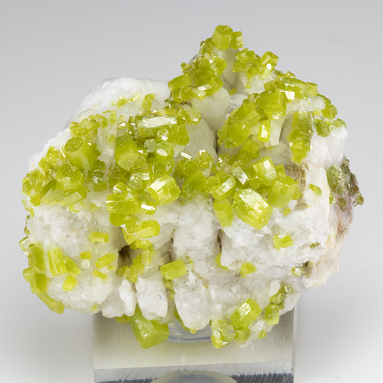 Pyromorphite with Quartz - Minerals For Sale - #8604667