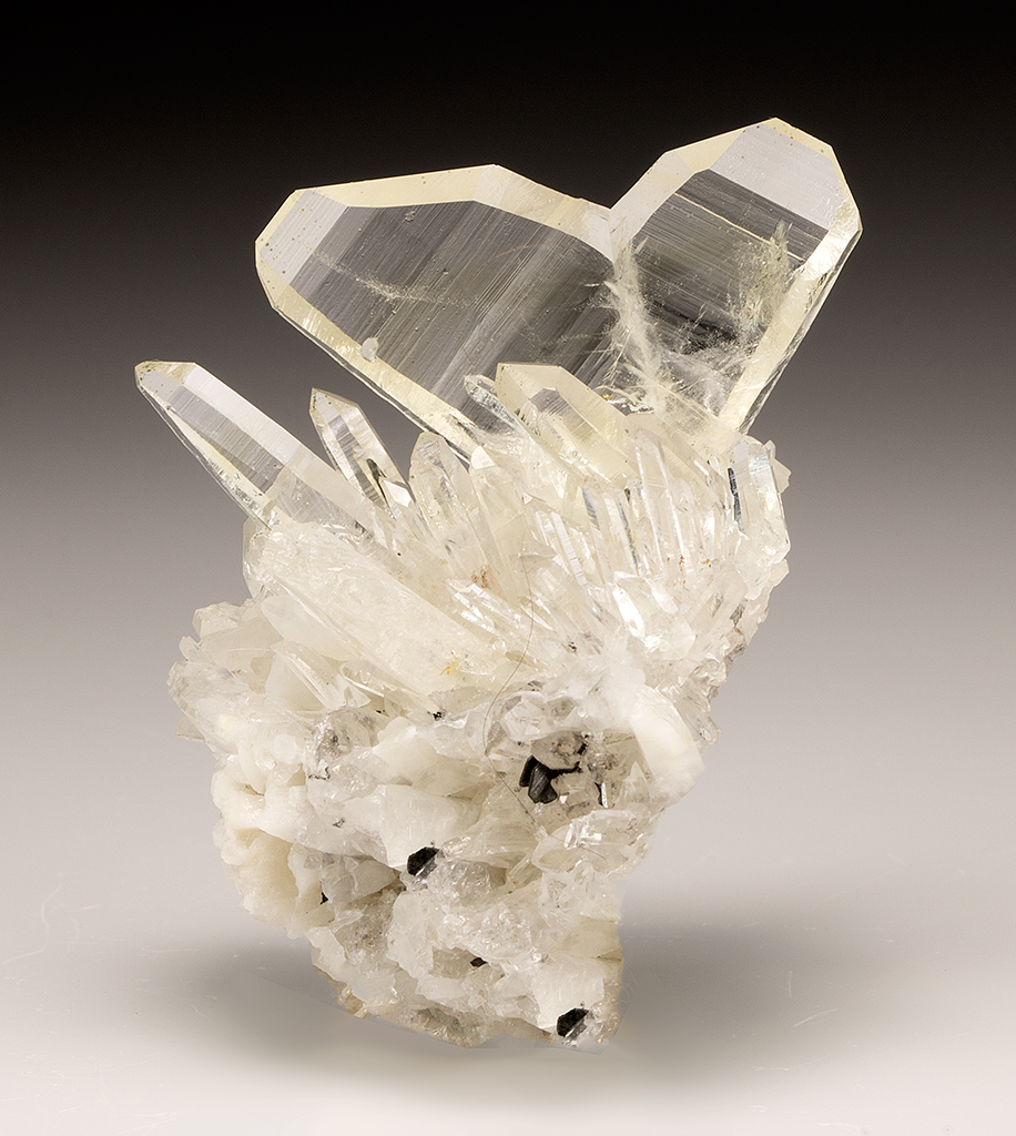 Quartz (Japan twin) - Minerals For Sale - #9221003