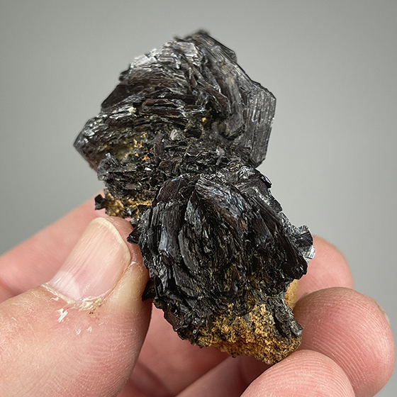 Goethite after Marcasite - Minerals For Sale - #4081151