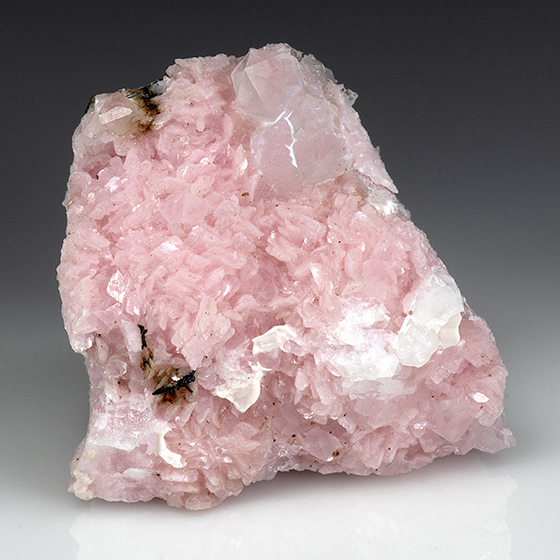 Rhodochrosite with Quartz - Minerals For Sale - #4121024